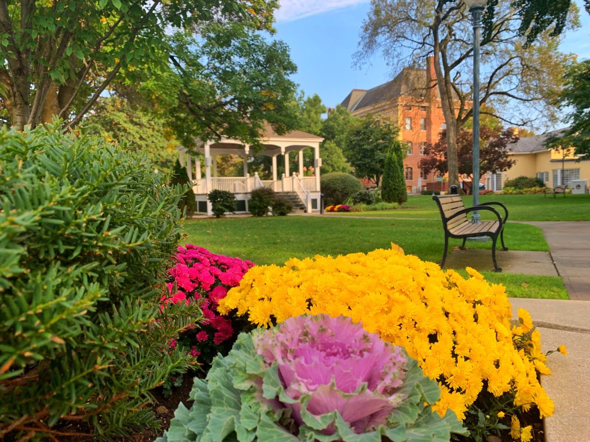 Request for Proposals